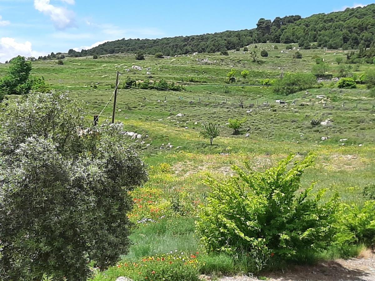 Casa Rural "Eccehomo De Borja" Экстерьер фото